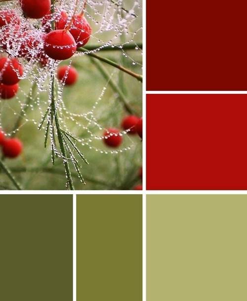 How to Choose Your Wedding Colors