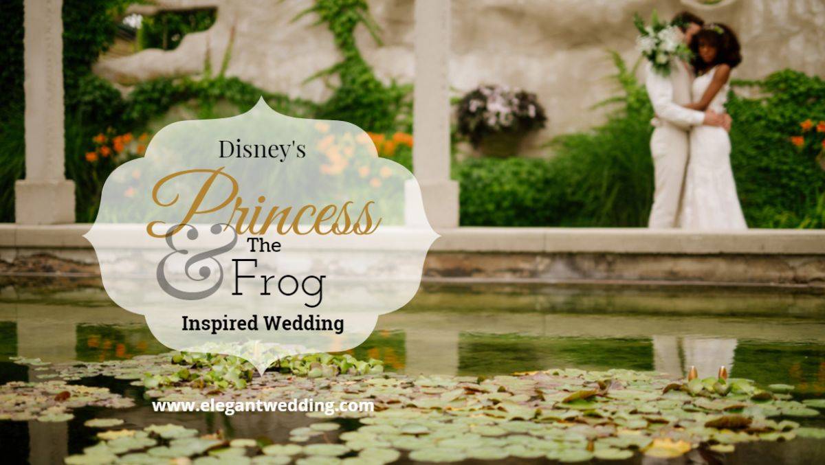 princess and the frog wedding dress