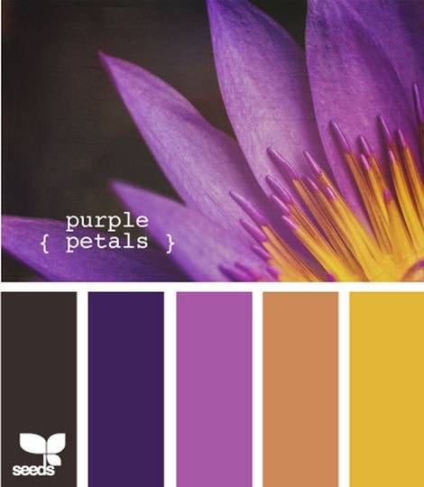 Wedding Color Palette