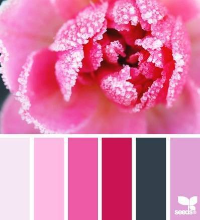 Wedding Color Scheme