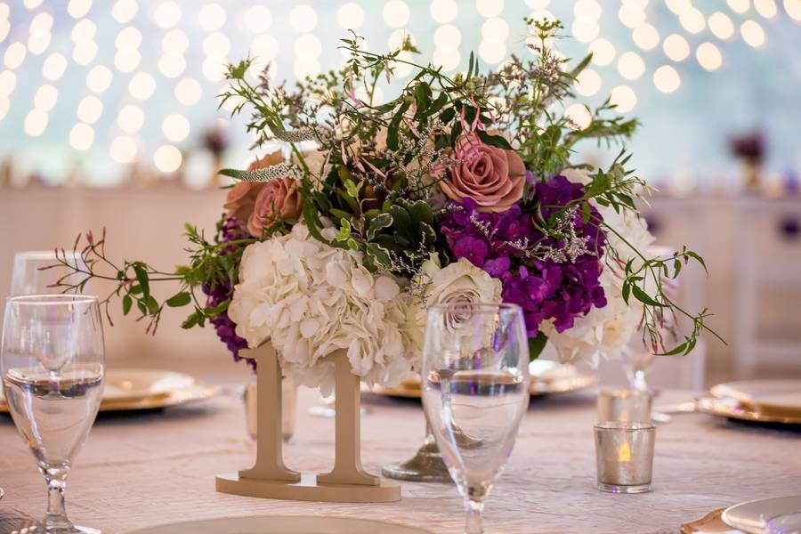 Davis_Viilo_Jennifer_Weems_Photography_Nikkiwedding1344_low