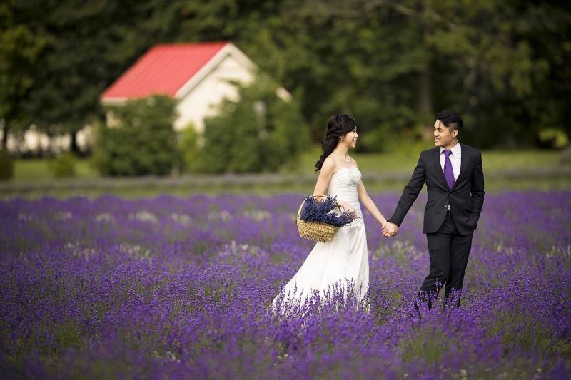 Elegant Engagement Photos: Inspiration