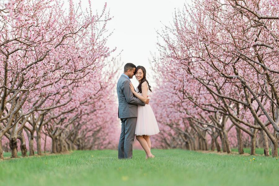 Elegant Engagement Photos: Inspiration Photo Elegant Engagement Photos: Inspiration