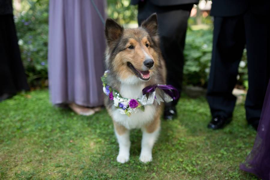 Taflinger_Albert_Lovesome_Photography_DS_Ceremony068_low