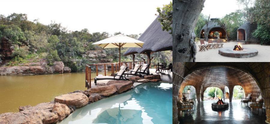 The Best of South Africa   Urban Luxury and Safari Experience