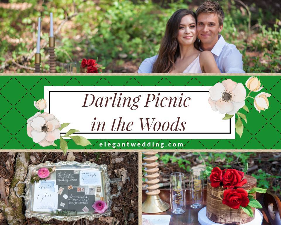Darling Picnic in the Woods