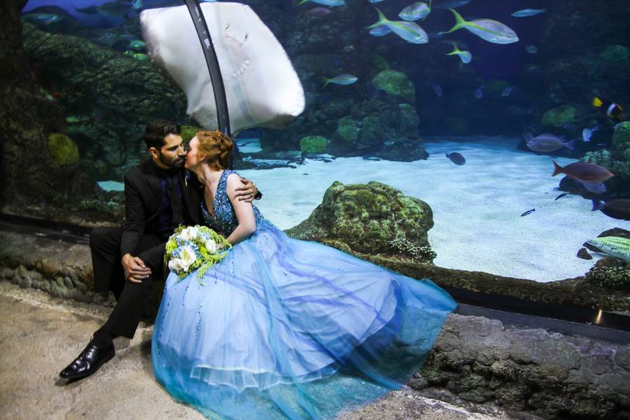 Under the Sea Wedding