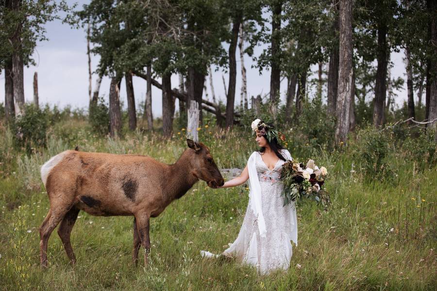 Whimsical Woodland Wedding