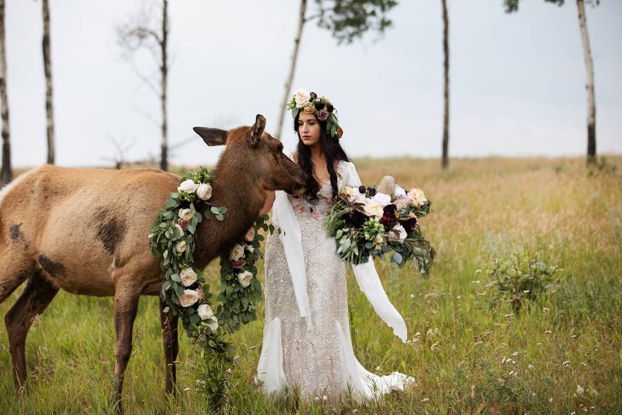 Whimsical Woodland Wedding
